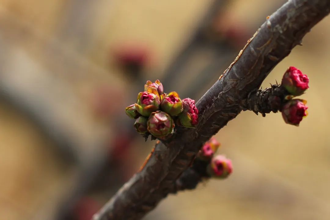 suncitygroup太阳成集团(中国)-官方网站